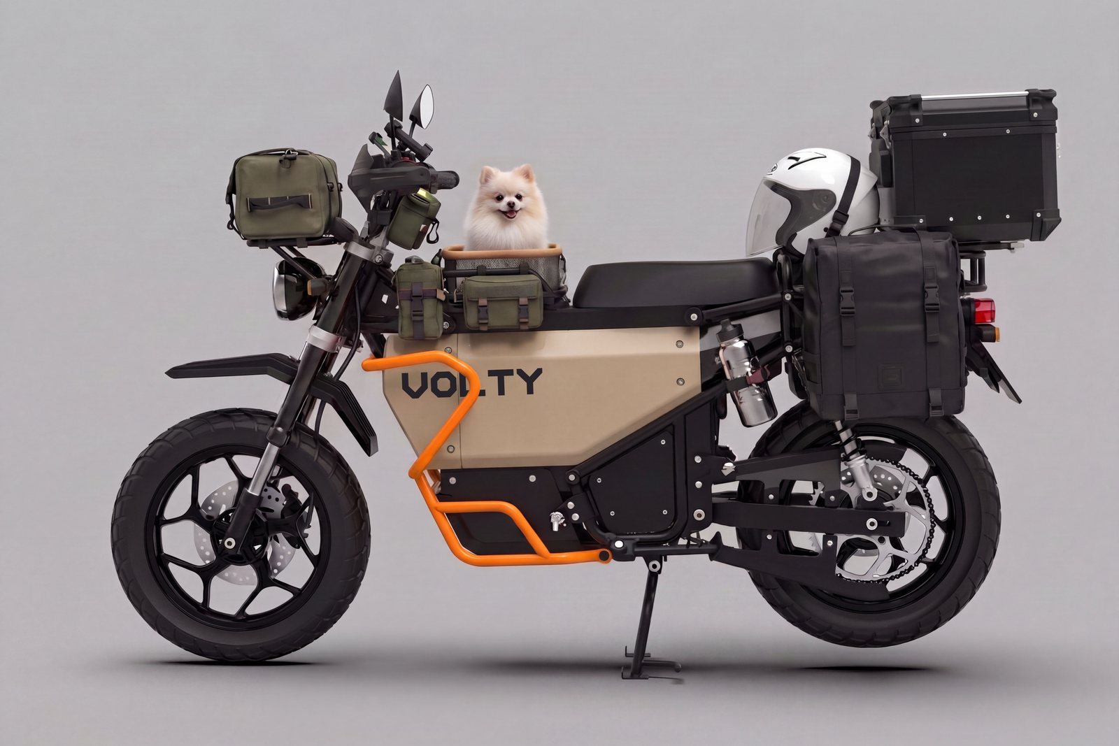 Front basket passenger, helmet on the hook, panniers for the market run.